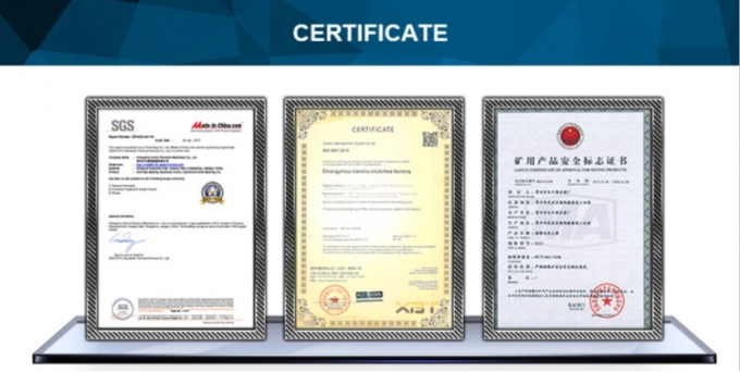 Υπερβολικός συμπλέκτης μονόδρομος συμπλέκτης κάμεας κυλίνδρου ελαστικού GV σειράς GV80 backstop συμπλέκτης 10