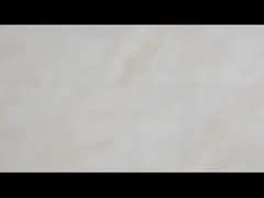 Ένας συμπλέκτης εκκέντρων τρόπων που αντέχει τη σειρά Sprag Backstop του BB κάνει ελεύθερο πεντάλ συμπλέκτης